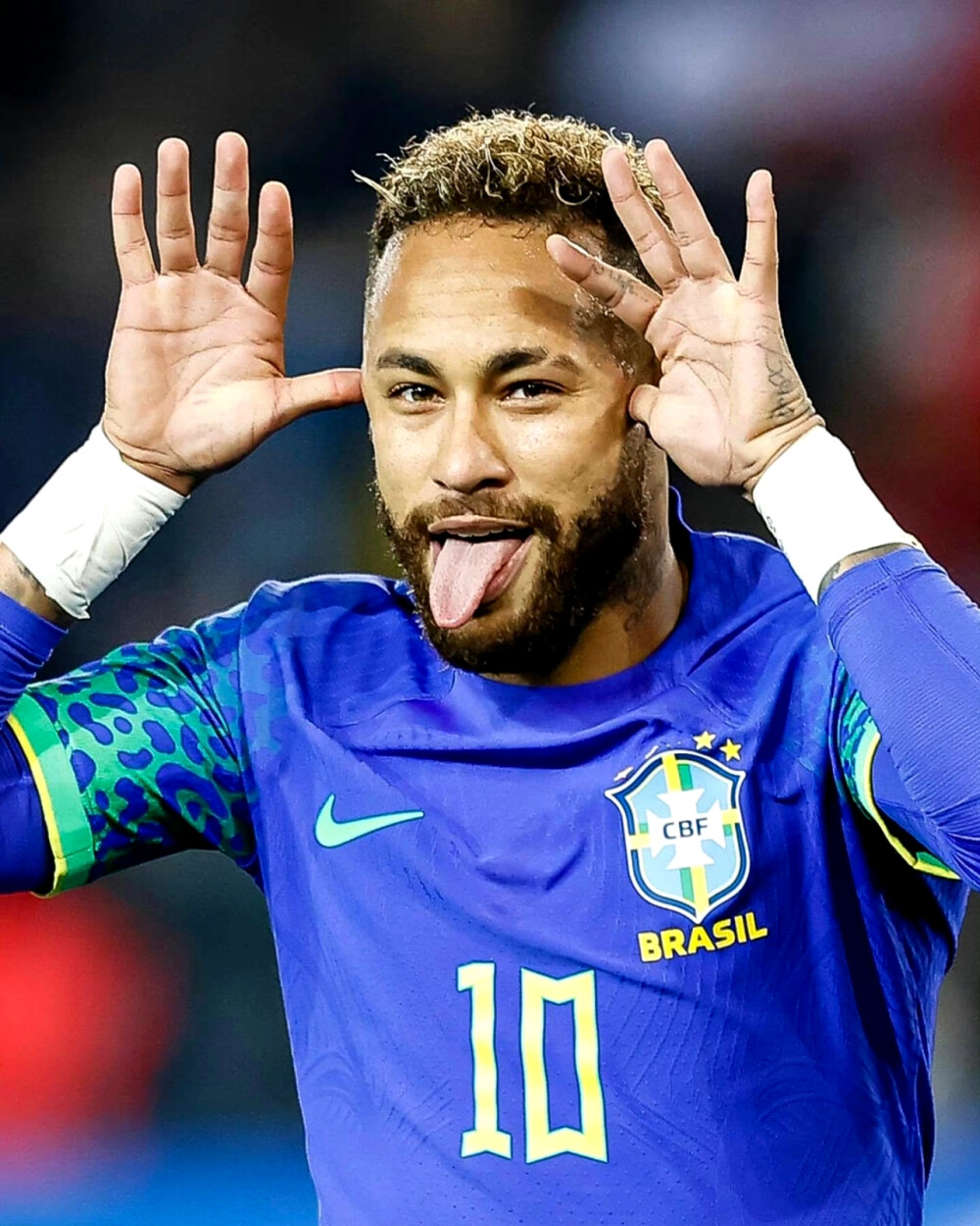 从历史纪录 从历史纪录